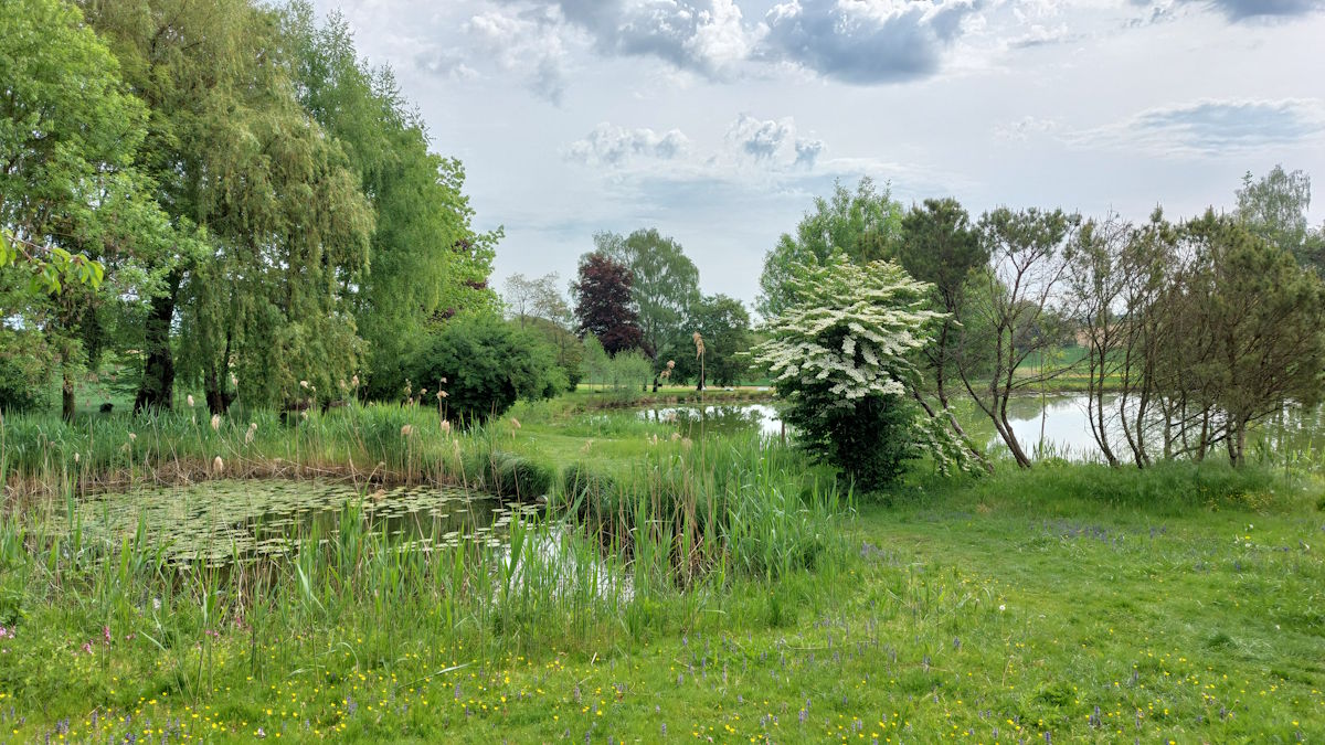 Gepflegte Anlage am Erlensee
